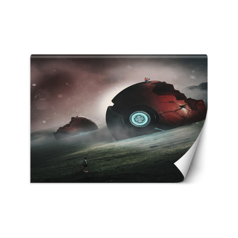 Original wall murals - Pokemons Zehem Chong | FEEBY
