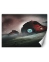 Original wall murals - Pokemons Zehem Chong | FEEBY
