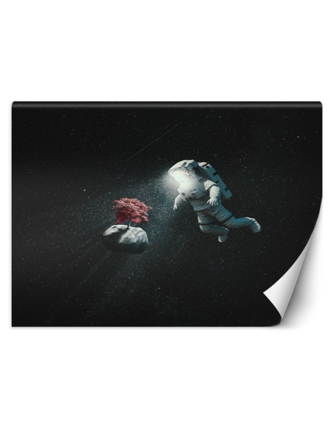 Modern wall murals - Astronaut and asteroid Zehem Chong | FEEBY