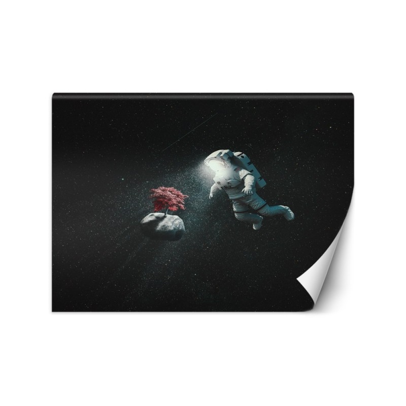 Modern wall murals - Astronaut and asteroid Zehem Chong | FEEBY