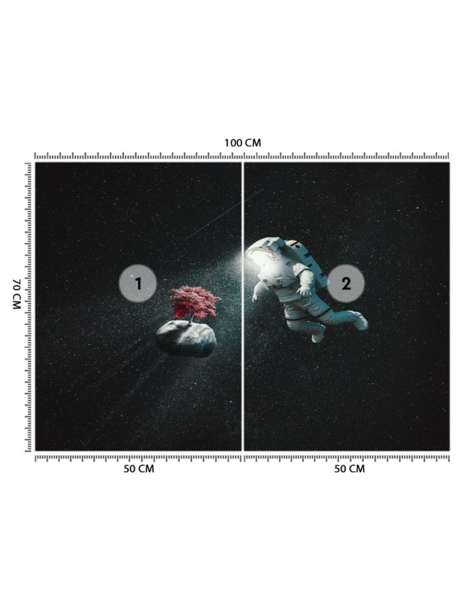 Modern wall murals - Astronaut and asteroid Zehem Chong | FEEBY