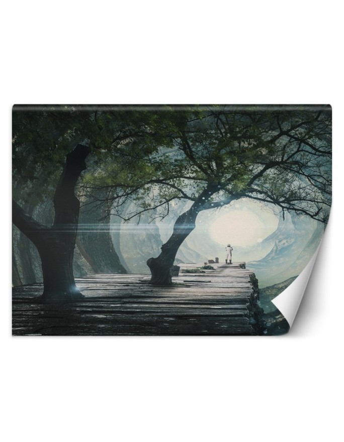 Modern Wallpapers - Bridge in a cave Zehem Chong | FEEBY