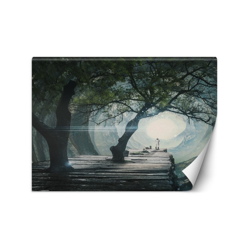 Modern Wallpapers - Bridge in a cave Zehem Chong | FEEBY