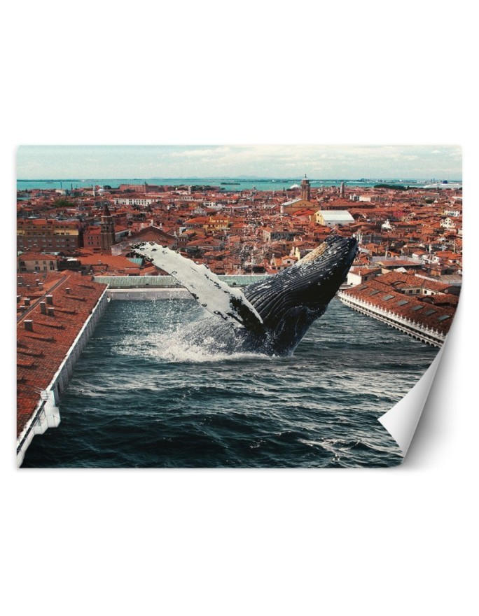 Beautiful Wallpapers for the home - Pure magic Zehem Chong | FEEBY