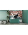 Beautiful Wallpapers for the home - Pure magic Zehem Chong | FEEBY
