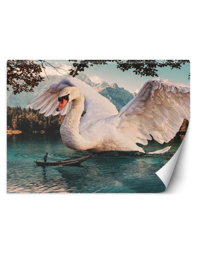 Unique Wallpapers - Great swan Zehem Chong | FEEBY