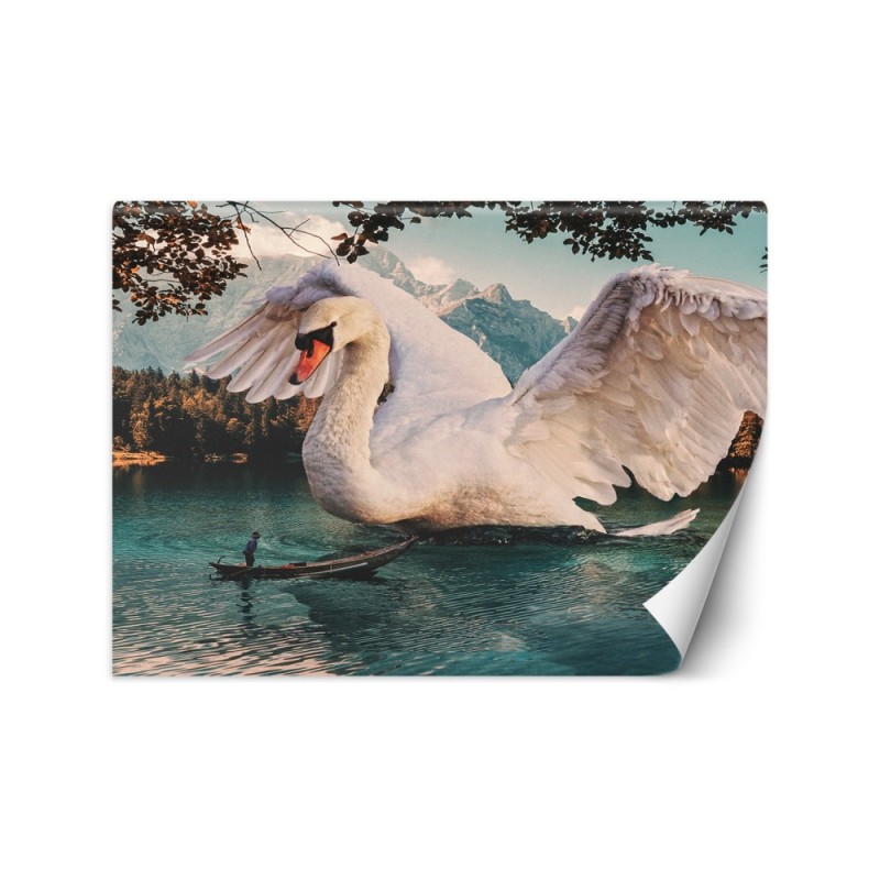 Unique Wallpapers - Great swan Zehem Chong | FEEBY