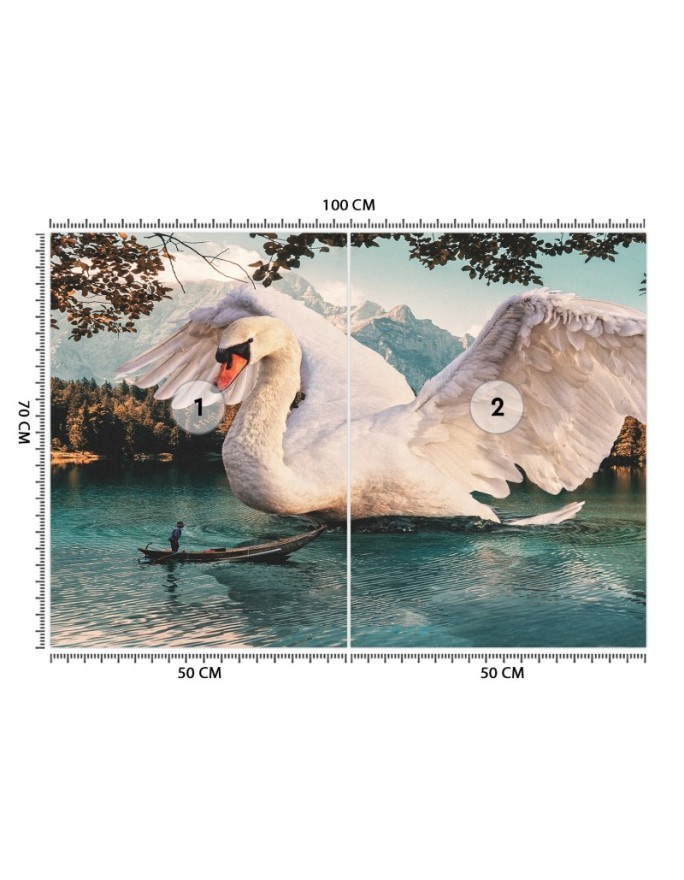 Unique Wallpapers - Great swan Zehem Chong | FEEBY