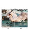 Unique Wallpapers - Great swan Zehem Chong | FEEBY