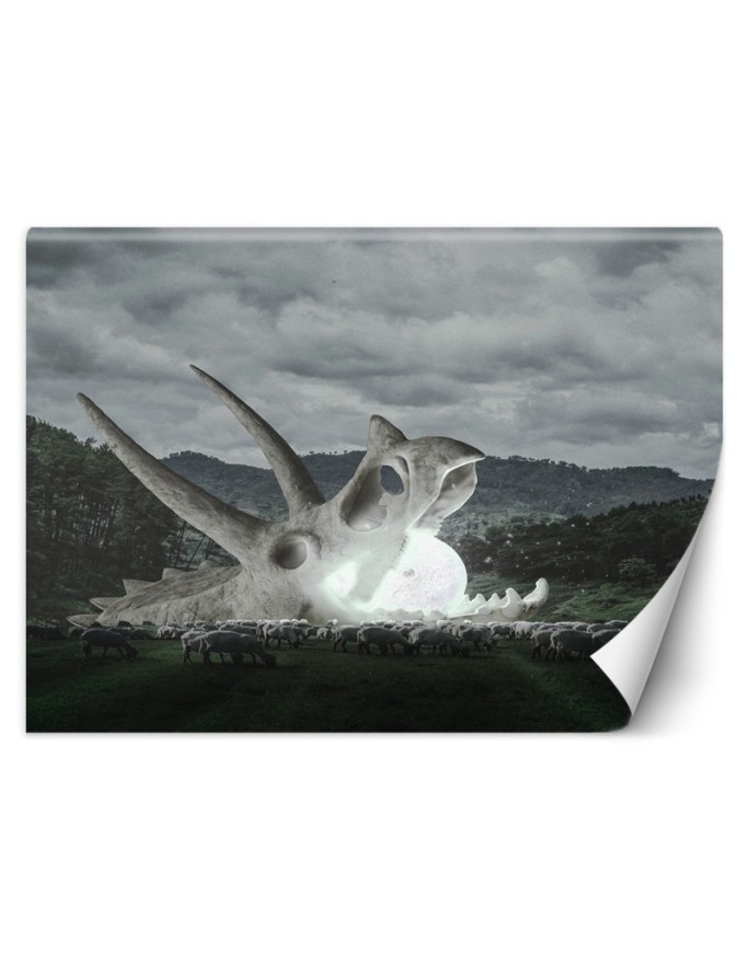 Inspirational Wallpaper - Skull in a pasture Zehem Chong | FEEBY