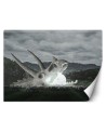 Inspirational Wallpaper - Skull in a pasture Zehem Chong | FEEBY
