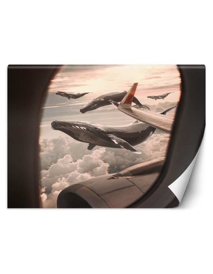 Most fashionable wall mural - Whale view from an aeroplane Zehem Chong | FEEBY