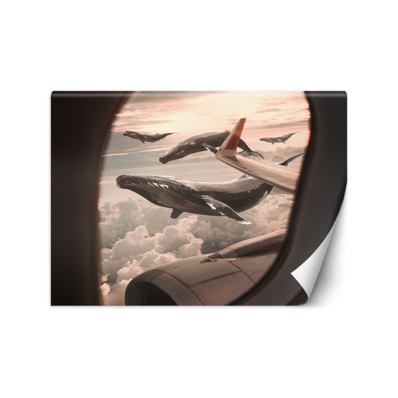 Most fashionable wall mural - Whale view from an aeroplane Zehem Chong | FEEBY