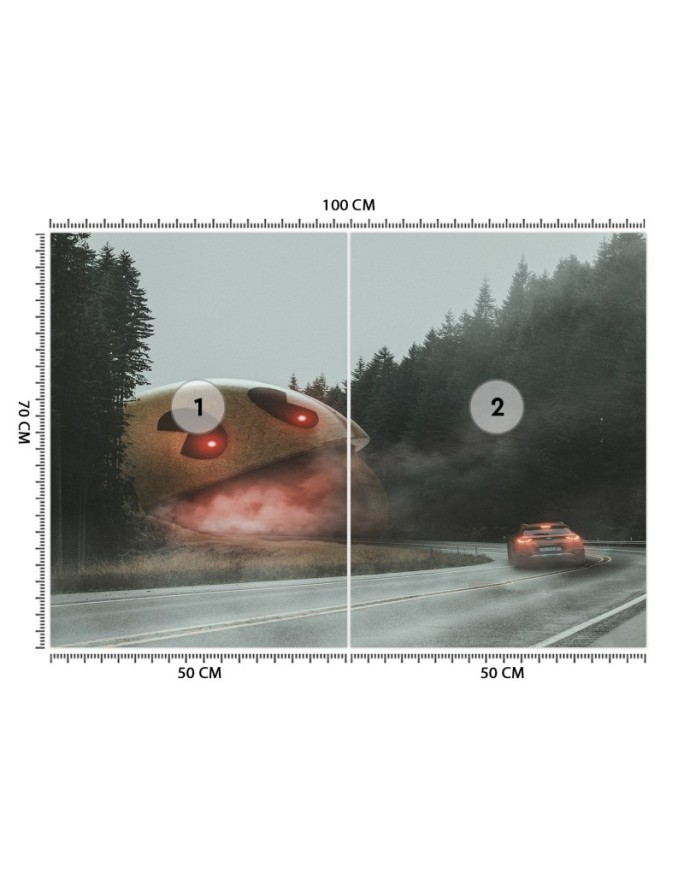 Living room wall mural - Unforgettable game Zehem Chong | FEEBY