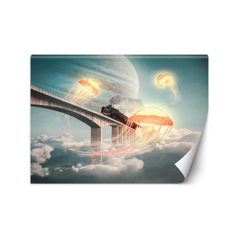 Art wall mural - Jellyfish in the sky Zehem Chong | FEEBY