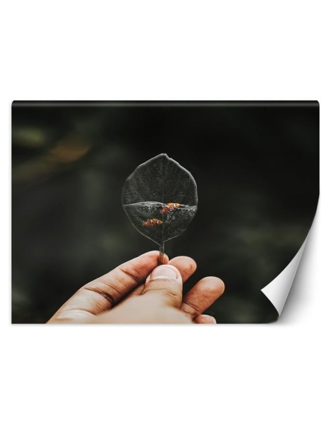 Modern wall mural - Mini aquarium Zehem Chong | FEEBY
