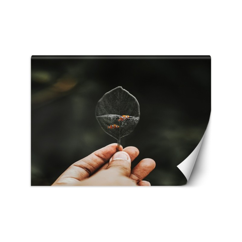 Modern wall mural - Mini aquarium Zehem Chong | FEEBY