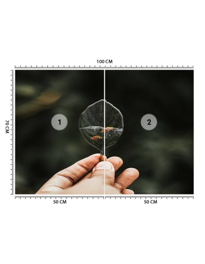 Modern wall mural - Mini aquarium Zehem Chong | FEEBY