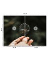Modern wall mural - Mini aquarium Zehem Chong | FEEBY