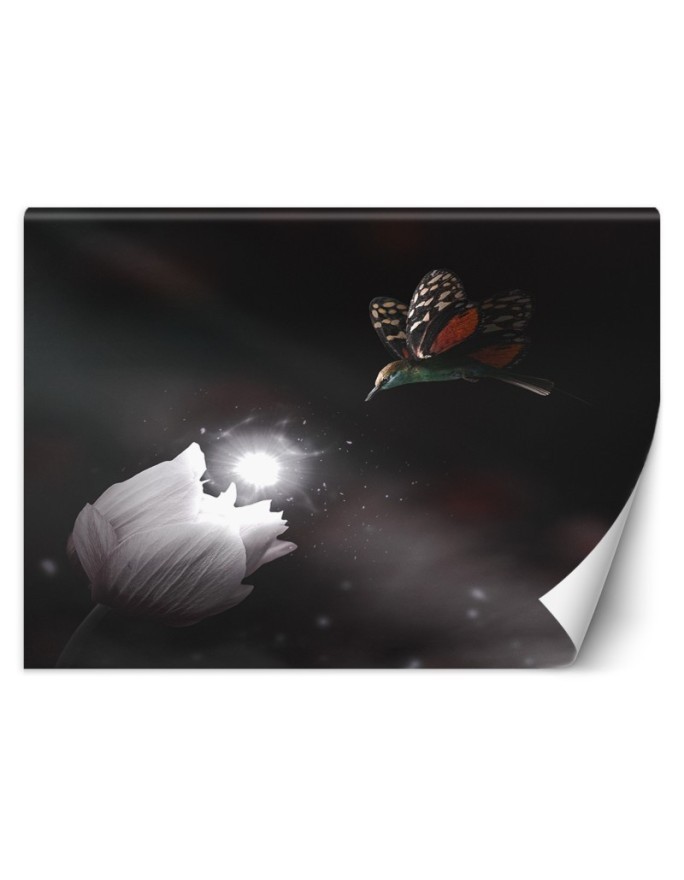 Living room wall mural - Hummingbird and magic flower Zehem Chong | FEEBY