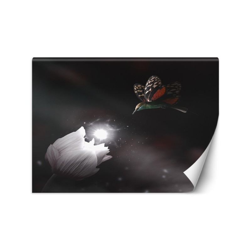 Living room wall mural - Hummingbird and magic flower Zehem Chong | FEEBY