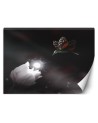 Living room wall mural - Hummingbird and magic flower Zehem Chong | FEEBY