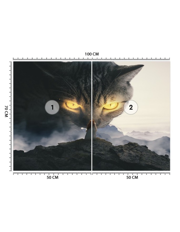 Wall mural - Yellow cat eyes Zehem Chong | FEEBY