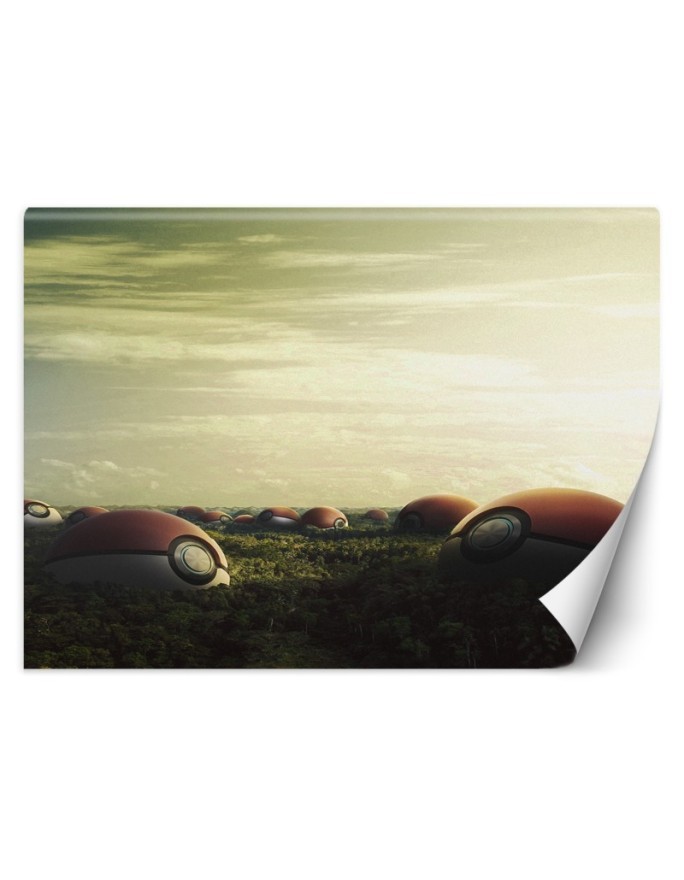 Wallpapers for the home - Pokemon field Zehem Chong | FEEBY