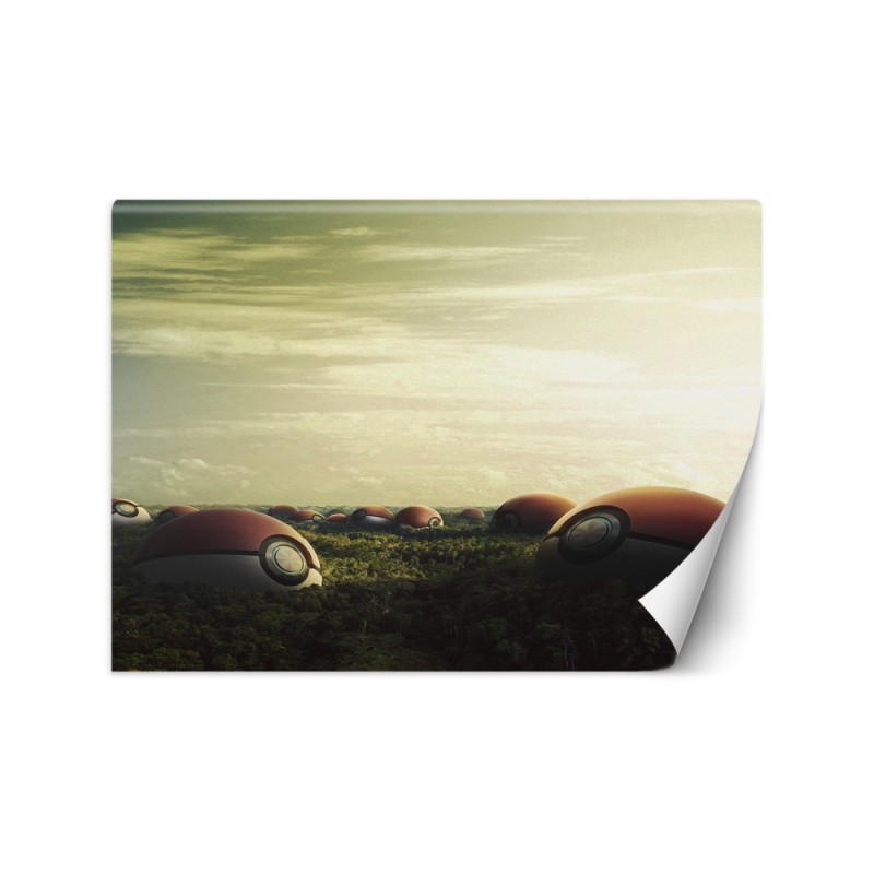 Wallpapers for the home - Pokemon field Zehem Chong | FEEBY