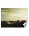 Wallpapers for the home - Pokemon field Zehem Chong | FEEBY