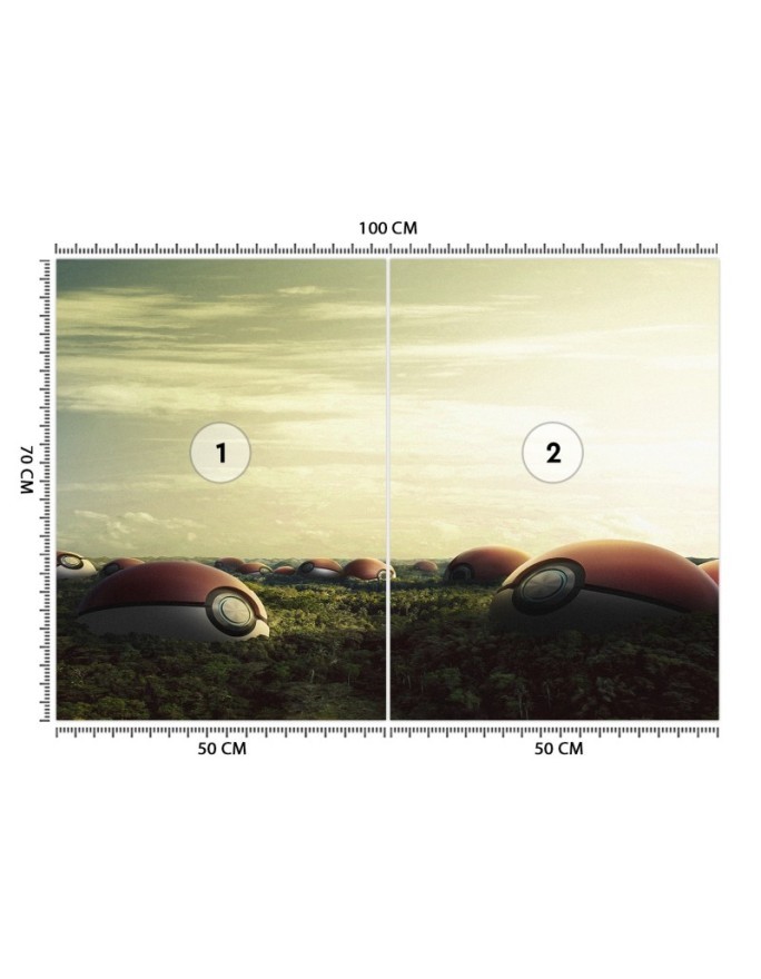 Wallpapers for the home - Pokemon field Zehem Chong | FEEBY