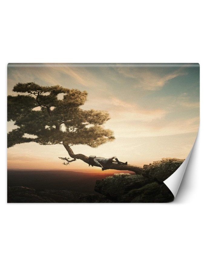 Wallpaper - Resting over the precipice Zehem Chong | FEEBY