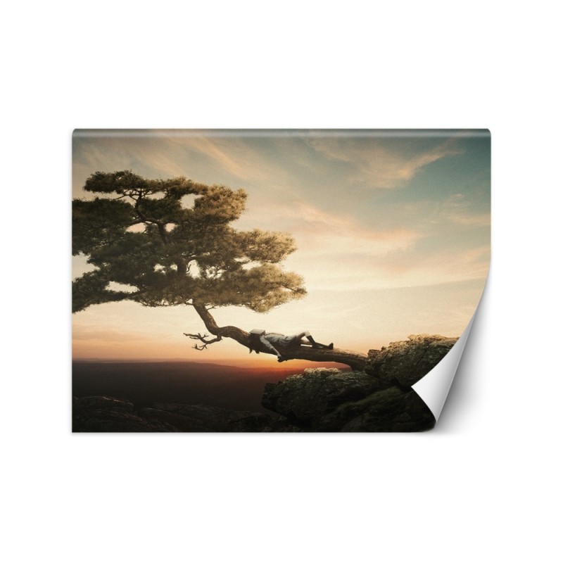 Wallpaper - Resting over the precipice Zehem Chong | FEEBY