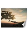 Wallpaper - Resting over the precipice Zehem Chong | FEEBY