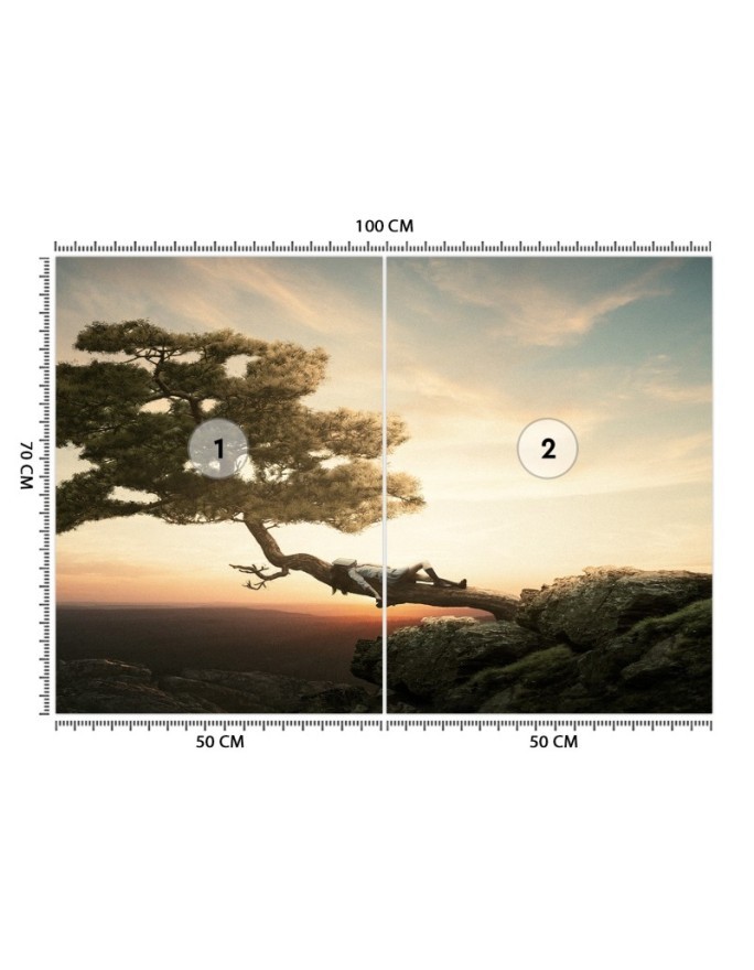 Wallpaper - Resting over the precipice Zehem Chong | FEEBY