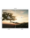 Wallpaper - Resting over the precipice Zehem Chong | FEEBY