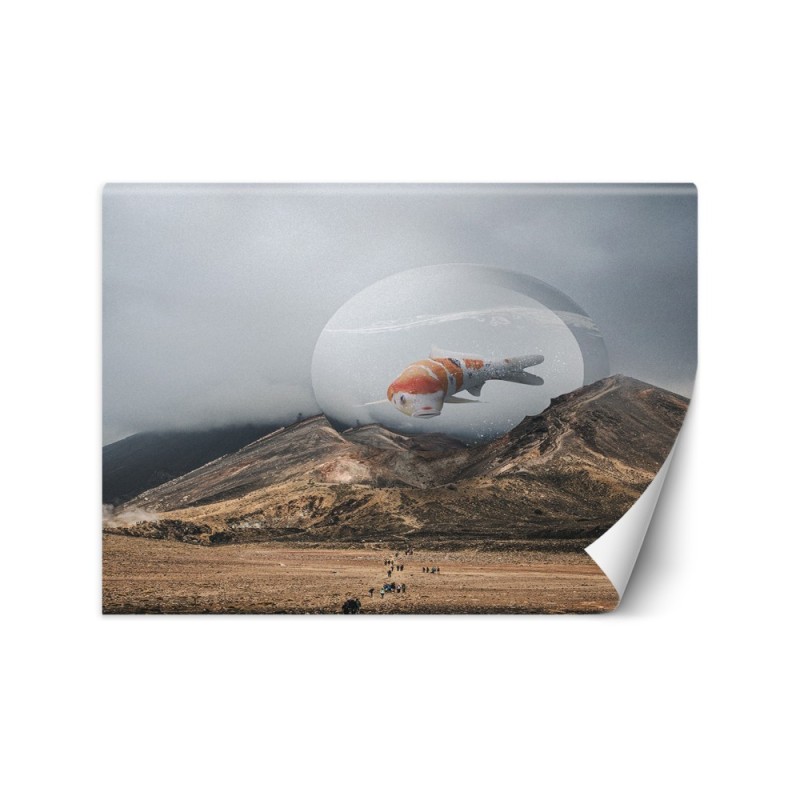 Wallpaper - Koi fish Zehem Chong | FEEBY