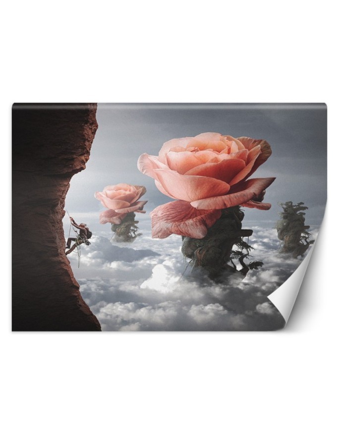 Designer Wallpaper - Cloud rose Zehem Chong | FEEBY