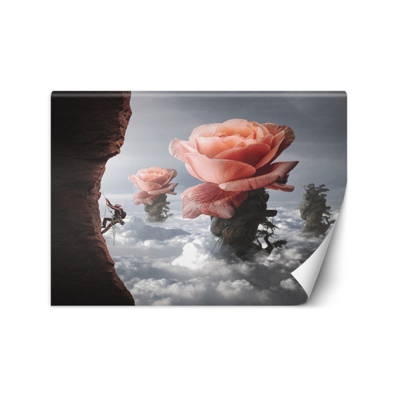 Designer Wallpaper - Cloud rose Zehem Chong | FEEBY
