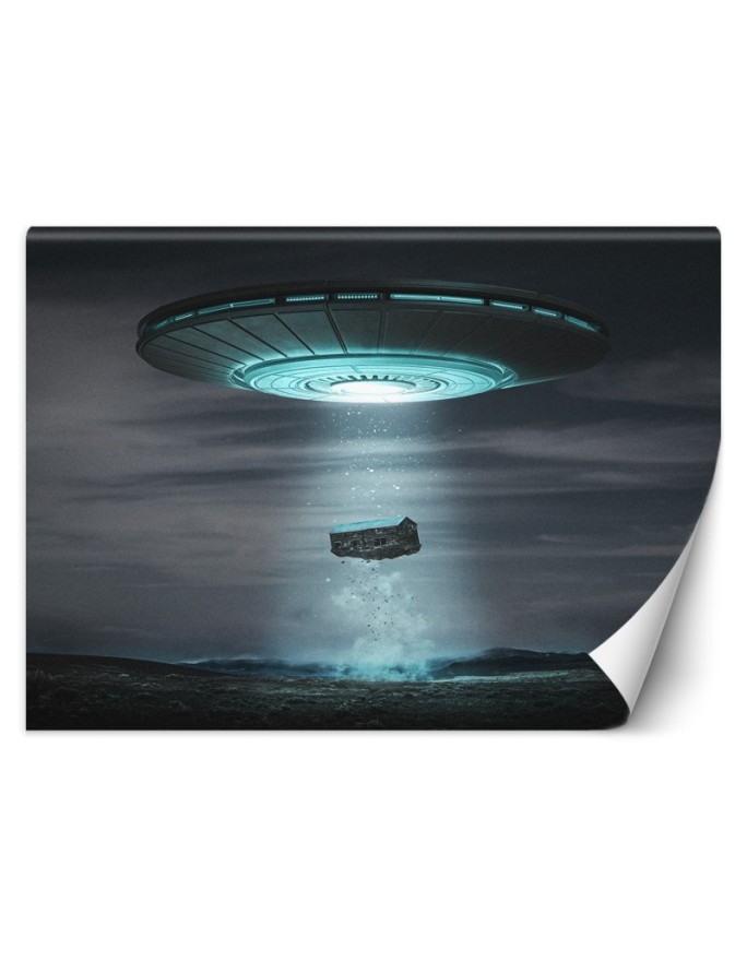Wall mural Alien Abduction