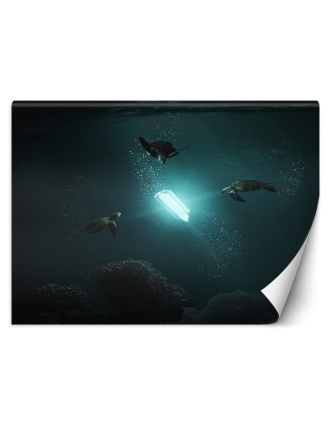 Inspirational Wallpaper - Ray of light Zehem Chong | FEEBY