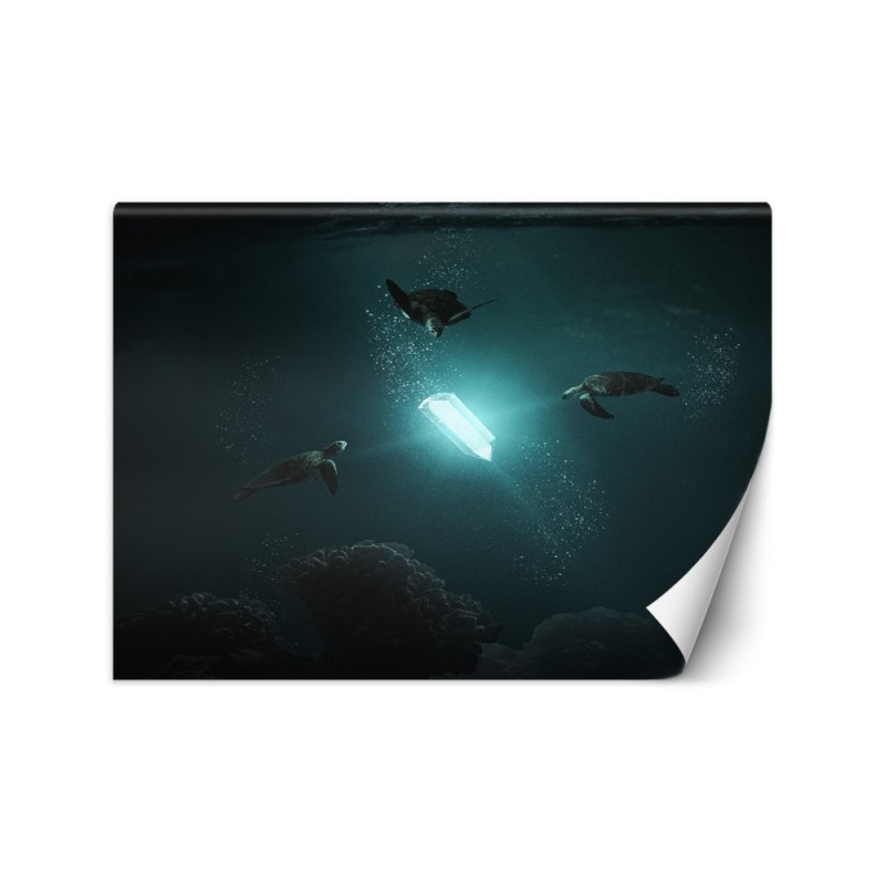 Inspirational Wallpaper - Ray of light Zehem Chong | FEEBY