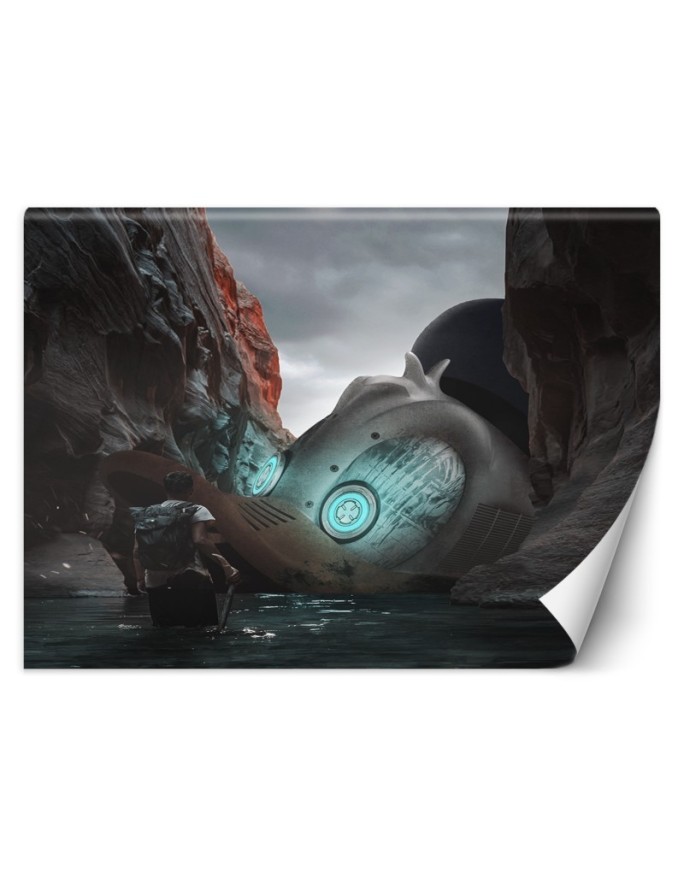 Modern wall murals - Duck Zehem Chong | FEEBY
