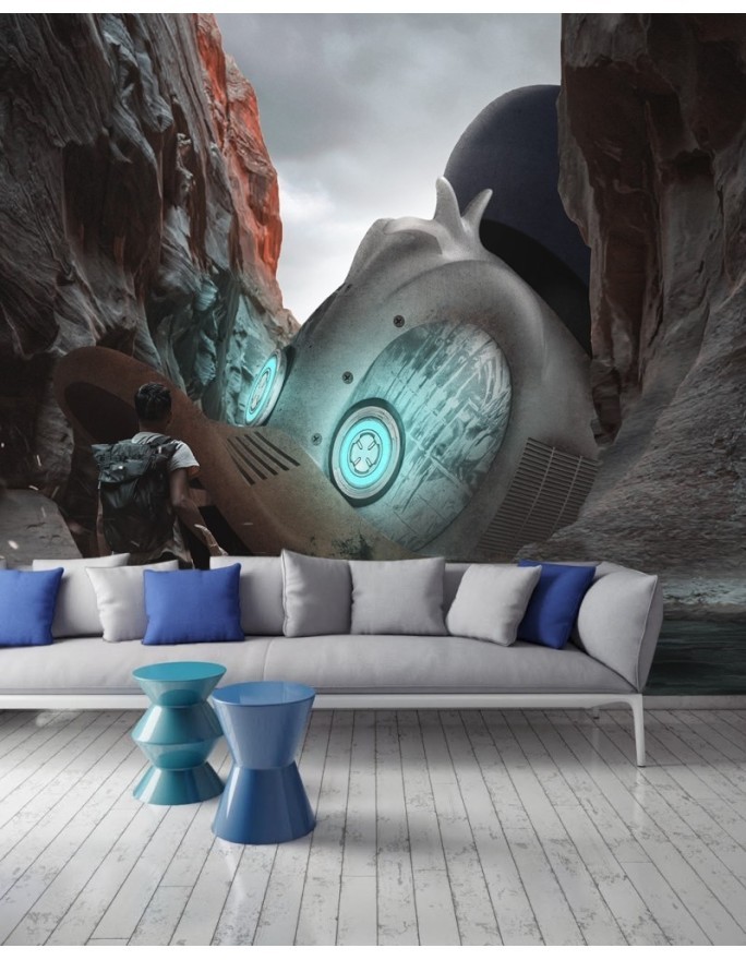 Modern wall murals - Duck Zehem Chong | FEEBY