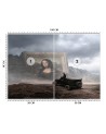 Exclusive wall murals - Mona Lisa Zehem Chong | FEEBY
