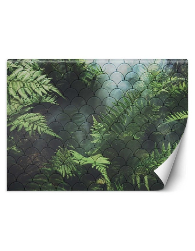 Modern wall murals - Fern leaves in the mist | FEEBY