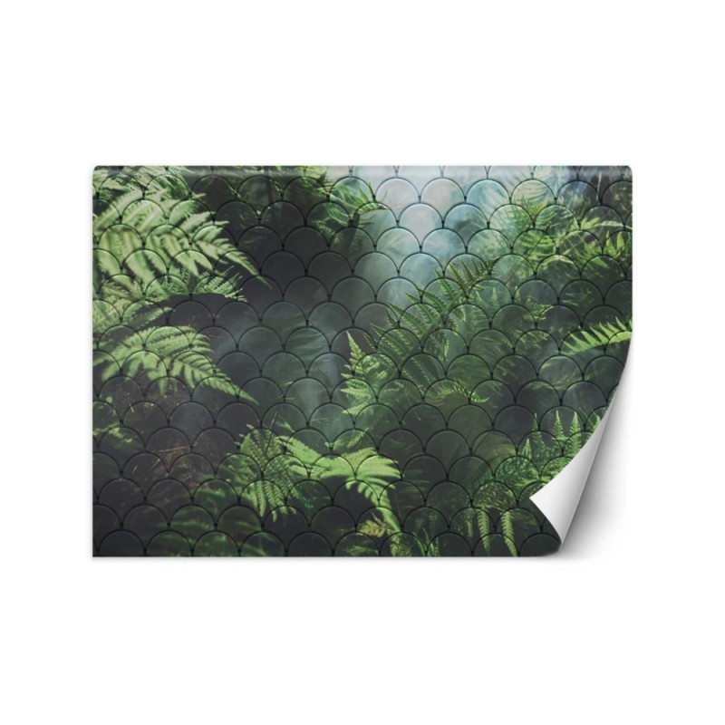 Modern wall murals - Fern leaves in the mist | FEEBY