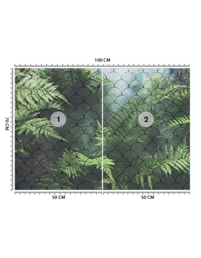 Modern wall murals - Fern leaves in the mist | FEEBY