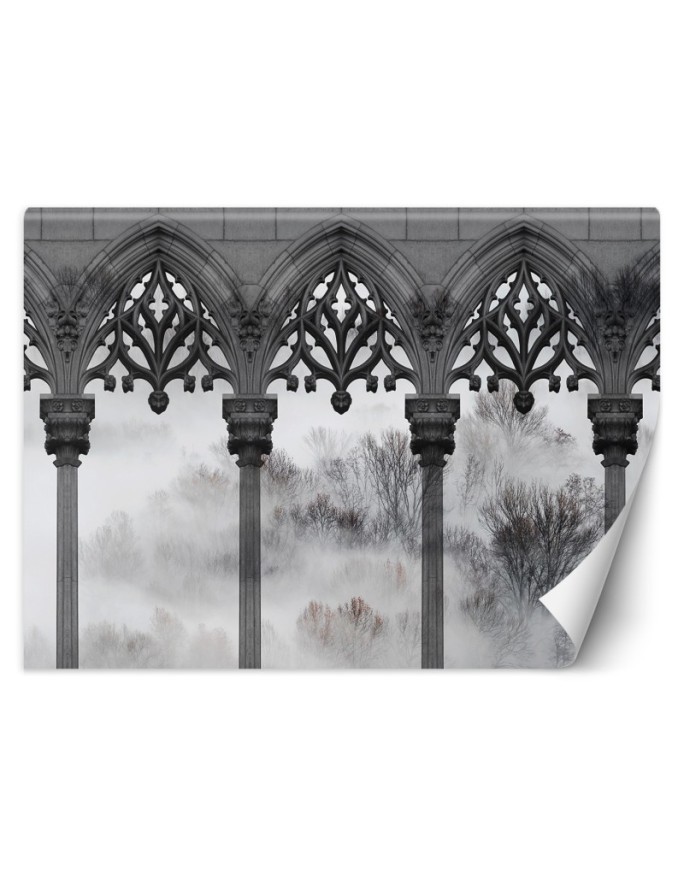 Exclusive wall murals - Trees Mist Pillars Black White | FEEBY
