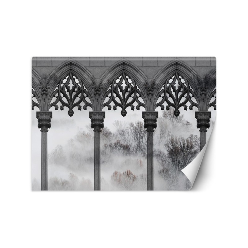 Exclusive wall murals - Trees Mist Pillars Black White | FEEBY